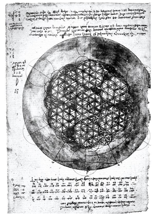 Fleur de Vie selon Léonard de Vinci : croquis original