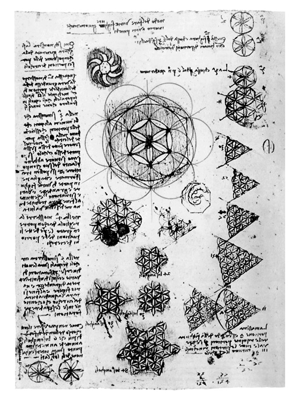 Fleur de Vie de Léonard de Vinci : seconde variante
