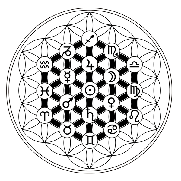 Croisement astrologique et fleur de vie : 12 secteurs / hexagone