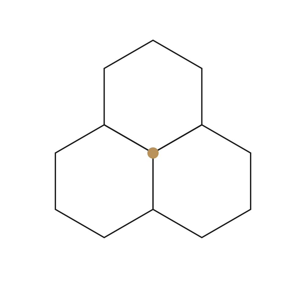 3 hexagones réguliers autour d'un sommet partagé, formant une tri-fleur — démonstration du tour complet à 360°