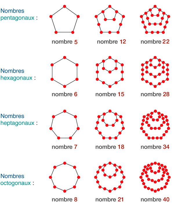 Famille des nombres polygonaux : triangulaires, carrés, pentagonaux