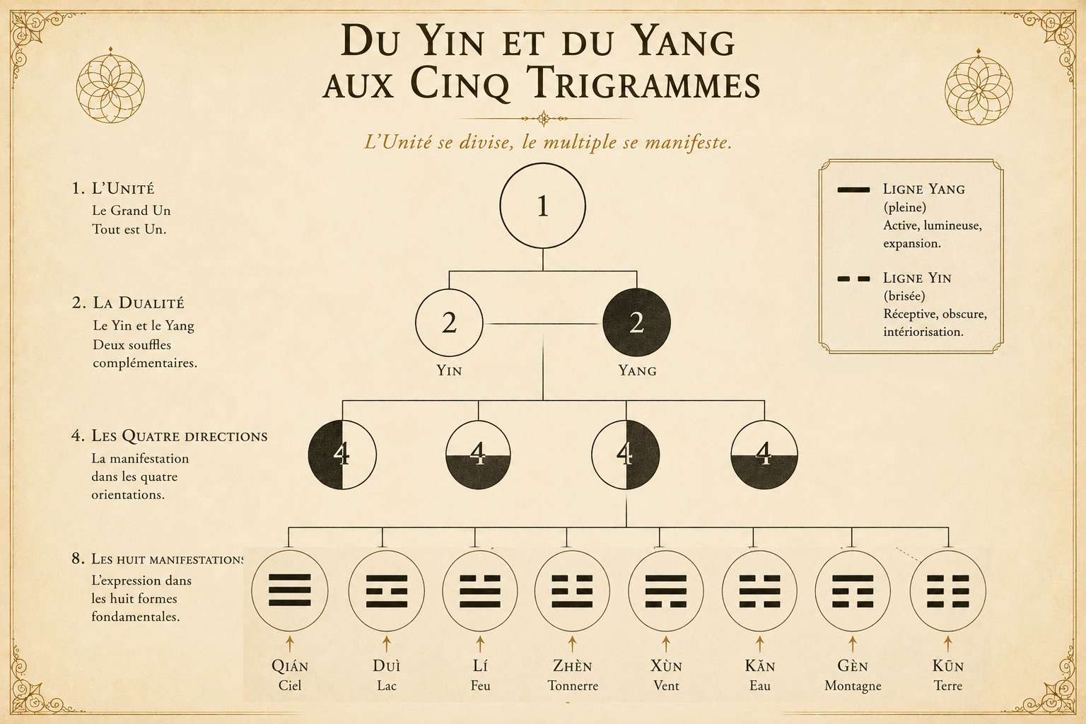 Du Yin et du Yang aux huit trigrammes du Yi King