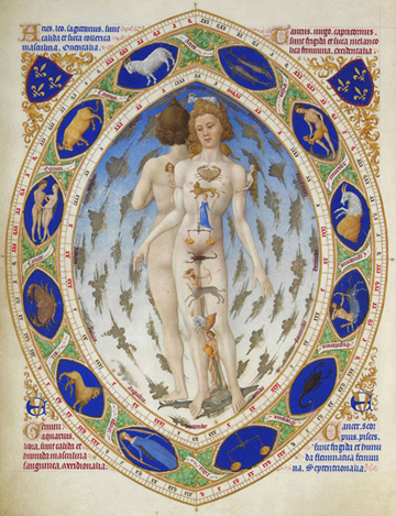 Homme astrologique : correspondances corps-zodiaque